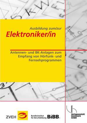 Ausbildung zum/zur Elektroniker/in Bd. 2 - Antennen- und BK-Anlagen zum Empfang von Hörfunk- und Fernsehprogrammen de Werner Stelter