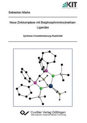 Neue Zinkkomplexe mit Bis(phosphinimino)methan-Liganden. Synthese-Charakterisierung-Reaktivität de Sebastian Marks