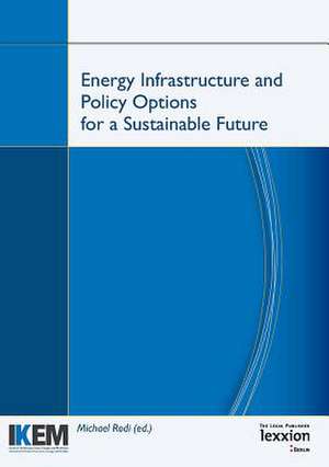 Energy Infrastructure and Policy Options for a Sustainable Future