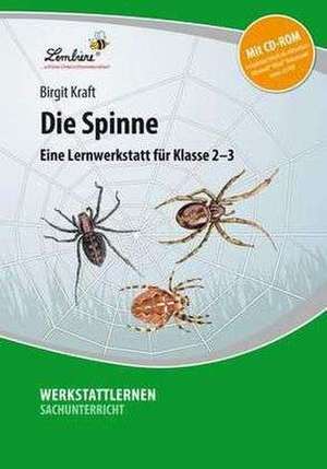 Die Spinne. Grundschule, Sachunterricht, Klasse 2-3 de Birgit Kraft