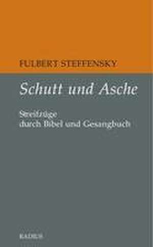 Schutt und Asche de Fulbert Steffensky