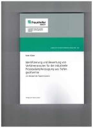 Identifizierung und Bewertung von Verfahrensrouten für die industrielle Prozessdampferzeugung aus Tiefengeothermie de Sven Klute