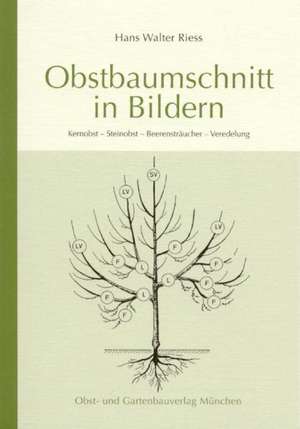 Obstbaumschnitt in Bildern de Hans Walter Riess