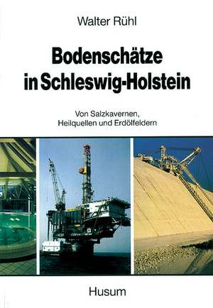 Bodenschätze in Schleswig-Holstein de Walter Rühl