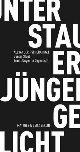 Bunter Staub. Ernst Jünger im Gegenlicht de Alexander Pschera