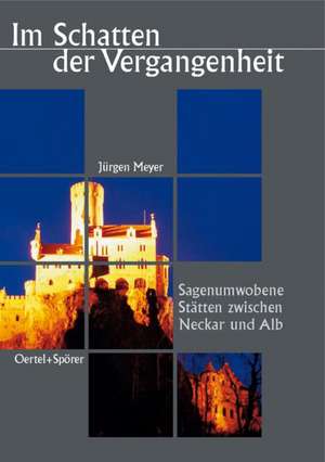 Im Schatten der Vergangenheit de Jürgen Meyer