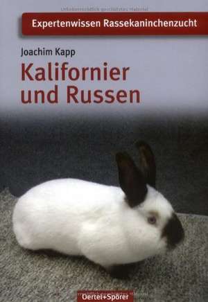 Kalifornier und Russen de Joachim Kapp