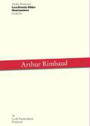 Werke / Leuchtende Bilder / Illuminations de Arthur Rimbaud