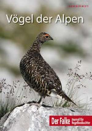 Vögel der Alpen - Falke-Sonderheft 2022 de Redaktion Der Falke