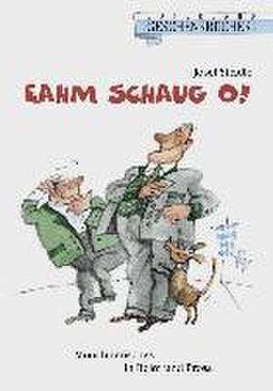 Eahm schaug o! de Josef Steidle