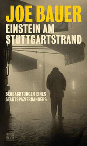 Einstein am Stuttgartstrand de Joe Bauer