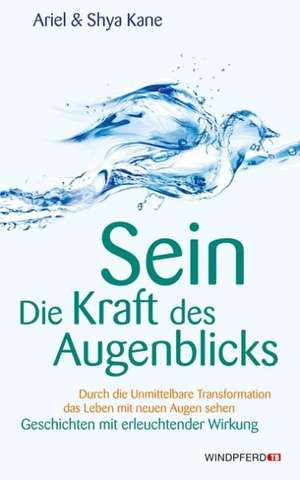 SEIN  Die Kraft des Augenblicks! de Ariel Kane