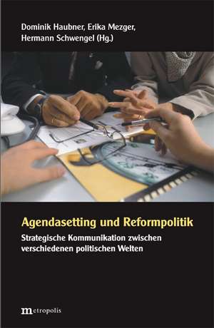 Agendasetting und Reformpolitik de Dominik Haubner