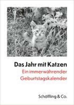 Das Jahr mit Katzen de Julia Bachstein