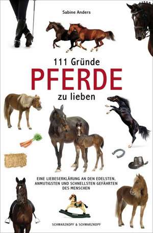 111 Gründe, Pferde zu lieben de Sabine Anders