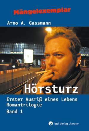 Hörsturz. Erster Ausriss eines Lebens de Arno Gassmann