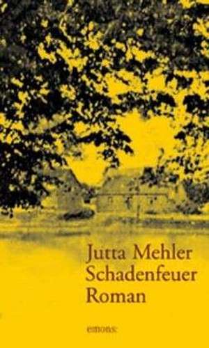 Schadenfeuer de Jutta Mehler