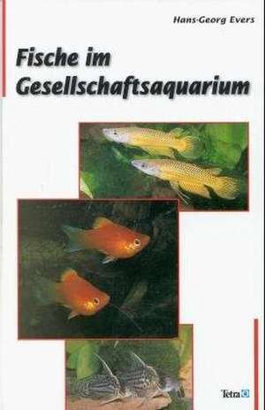 Fische im Gesellschaftsaquarium de Hans-Georg Evers