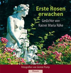 Erste Rosen erwachen de Günter Pump