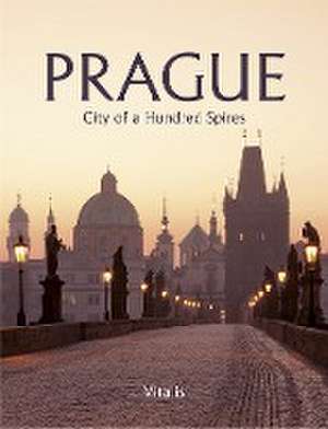 Prague de Harald Salfellner