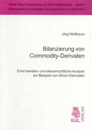 Bilanzierung von Commodity-Derivaten de Jörg Wallbaum