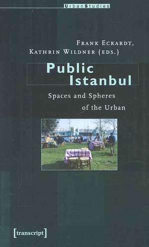 Public Istanbul