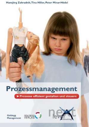 Prozessmanagement de Christina Hiller