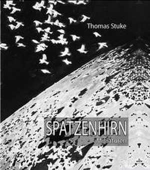 Spatzenhirn de Thomas Stuke