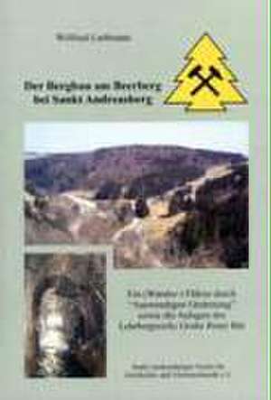 Der Bergbau am Beerberg bei Sankt Andreasberg de Wilfried Ließmann