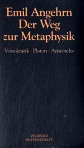 Der Weg zur Metaphysik de Emil Angehrn