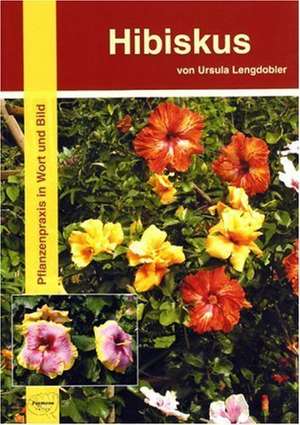 Hibiskus de Ursula Lengdobler