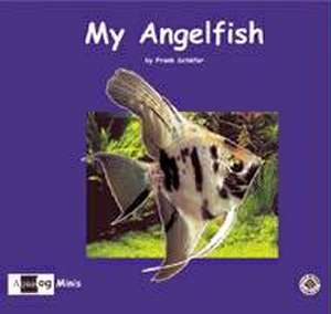 My Angelfish de Frank Schäfer