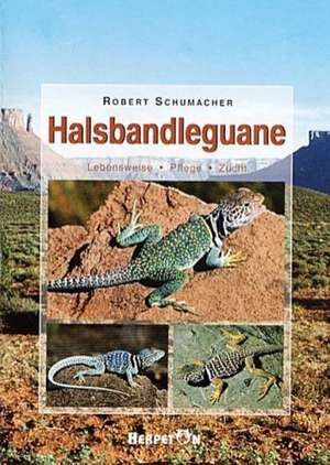 Halsbandleguane de Robert Schumacher