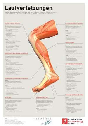 Laufverletzungen de Matthias Marquardt