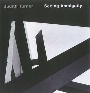 Seeing Ambiguity: Photographs of Architecture de Judith Turner