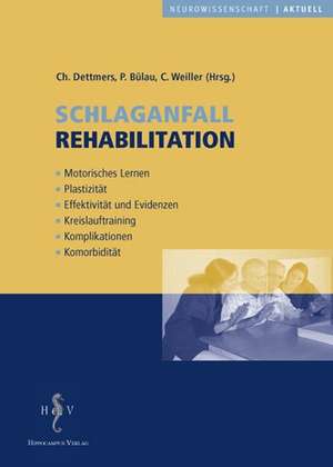 Schlaganfallrehabilitation de Christian Dettmers