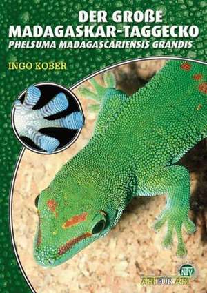 Der Große Madagaskar Taggecko de Ingo Kober