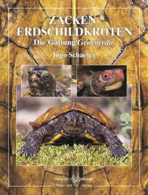 Zacken-Erdschildkröten de Ingo Schäfer