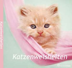 Katzenweisheiten de Rachael Hale