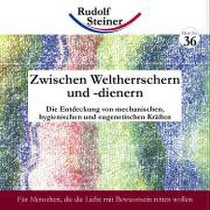 Zwischen Weltherrschern und -dienern de Rudolf Steiner