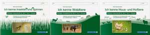 Ich kenne Waldtiere / Haus- und Hoftiere / Insekten und Spinnen. 3 Schülerarbeitshefte im Kombi für die 2. bis 4. Klasse de Katrin Langhans