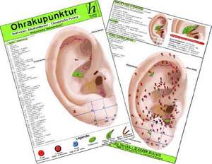 Ohrakupunktur - Indikation: Übergewicht / Adipositas - chinesische Ohrakupunktur