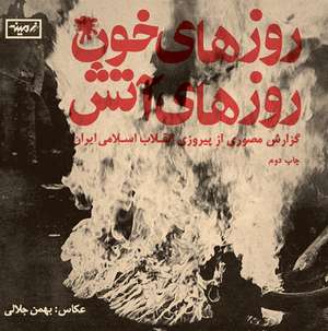 Days of Blood, Days of Fire de Bahman Jalali