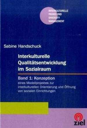 Interkulturelle Qualitätsentwicklung im Sozialraum de Sabine Handschuck