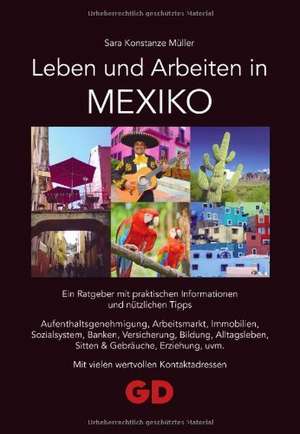 Leben und Arbeiten in Mexiko de Sara Konstanze Müller