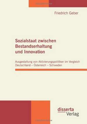 Sozialstaat Zwischen Bestandserhaltung Und Innovation: Eine Identit Tsanalyse Der Persistenz Kulturell de Friedrich Geber