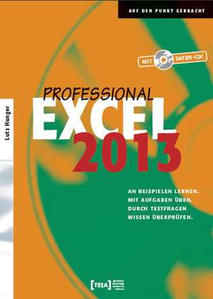 Excel 2013 Professional Buch de Lutz Hunger