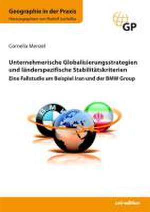 Unternehmerische Globalisierungsstrategien und länderspezifische Stabilitätskriterien de Cornelia Menzel