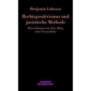 Rechtspositivismus und juristische Methode de Benjamin Lahusen