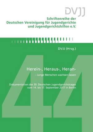 Herein-, Heraus-, Heran- - Junge Menschen wachsen lassen de Dvjj